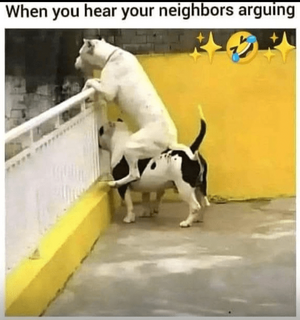 1747408208212.png
