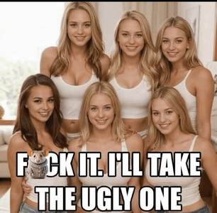 1747408273384.png