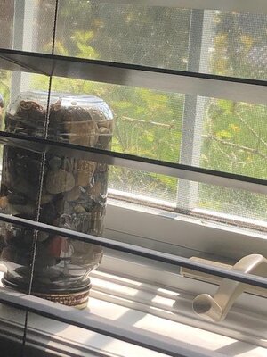 IMG_4060.jpeg