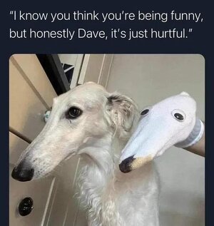 1747472340565.jpeg