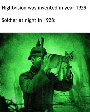 1747508693400.png