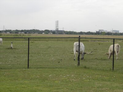 DSC00795.JPG