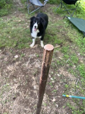 IMG_8629.jpeg