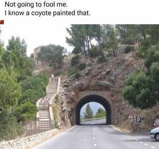 1747636584024.jpeg