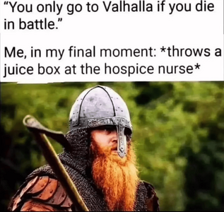 1747688091307.png