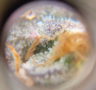 20250520_152704.jpg