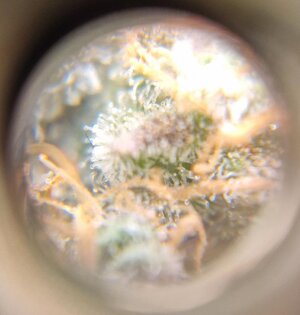 20250520_152734.jpg