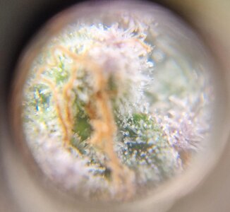 20250520_152651.jpg
