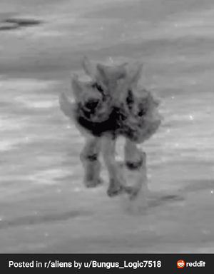 RDT_20250520_1436071325321379578229085.png