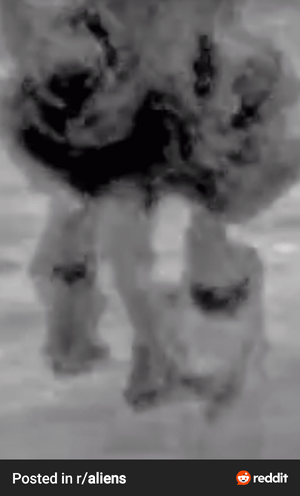 RDT_20250520_1436016130411755856504011.png
