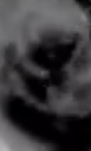 RDT_20250520_1435313570429582585224252.png