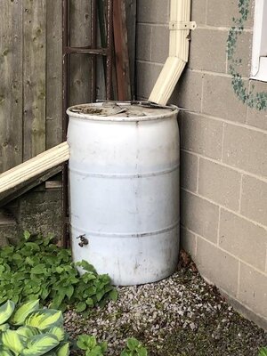 IMG_4125.jpeg