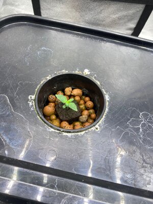 image1.jpeg