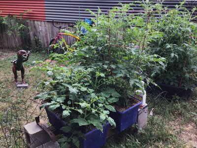 IMG_8884[1].jpeg