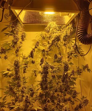 F10 (8).jpg