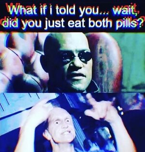 1748121428480.jpeg