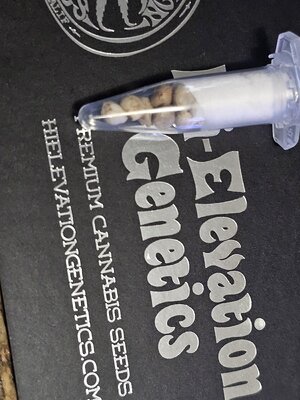20250524_170144.jpg