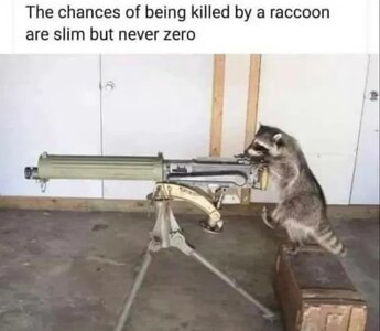 1748240326039.jpeg
