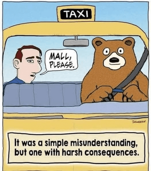 1748302528080.png