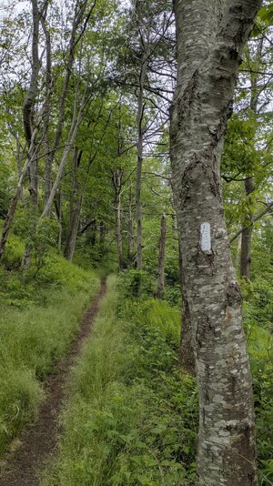 PXL_20250526_155513615.jpg