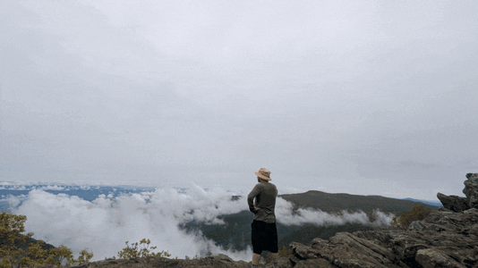 20250526_140628-ANIMATION.gif