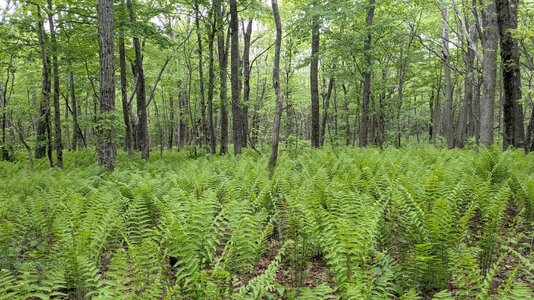 PXL_20250526_154911388.jpg