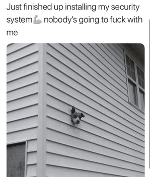 1748391961829.png