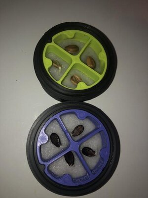 IMG_4239.jpeg