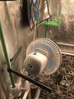 IMG_4228.jpeg