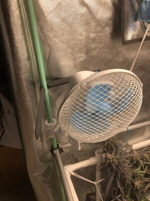IMG_4229.jpeg