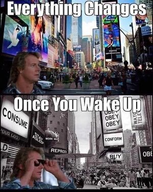 1748584937351.jpeg