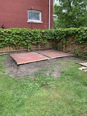 IMG_6505.jpeg