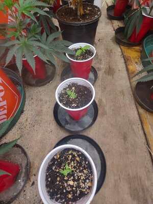 0531252027_HDR.jpg