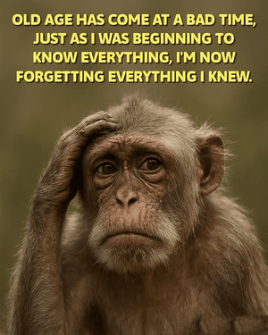 1748815112698.png