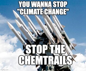 49413f2859b63f51.jpeg