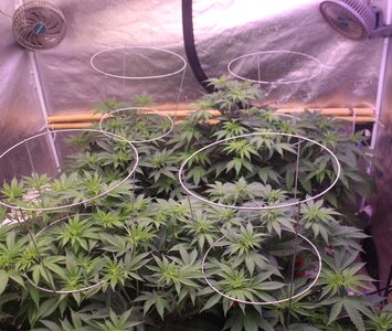 June 5 group G n B on.JPG