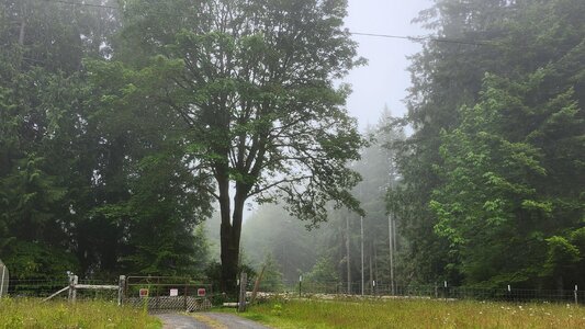 20250606_073627.jpg