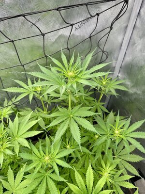 IMG_5980.jpeg
