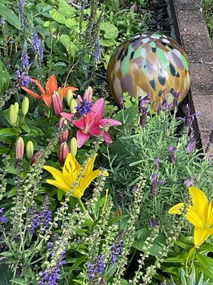 IMG_3263.jpeg