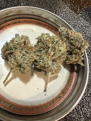 IMG_6003.jpeg