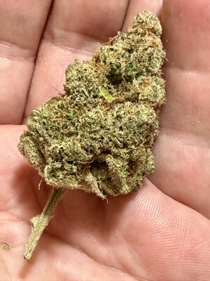IMG_6007.jpeg