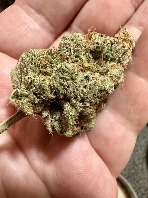 IMG_6008.jpeg