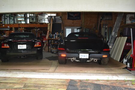 DSC_0051 - Copy (2).JPG