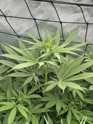 IMG_6034.jpeg