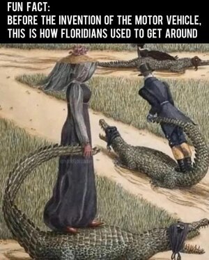 1749653948465.jpeg
