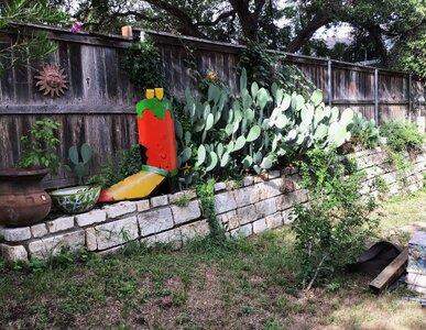 IMG_9020[1].jpeg