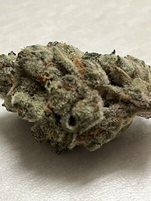 IMG_0570.jpeg