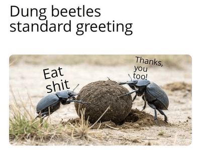 1749906089611.png