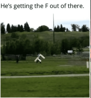 1750122432167.png