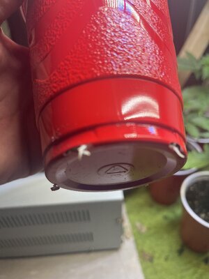 IMG_0595.jpeg